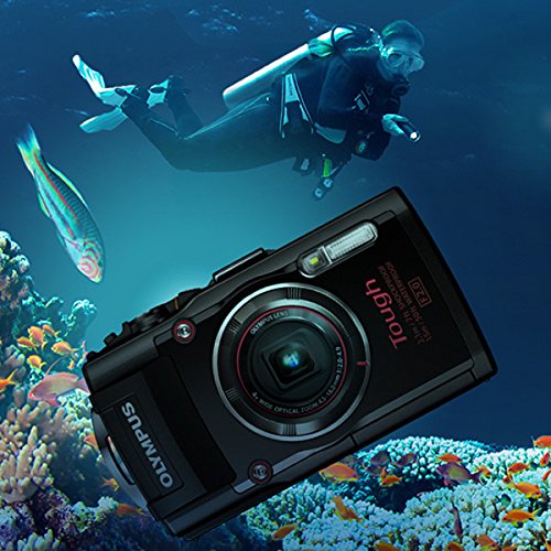 オリンパスtg-4 Olympus TG-4 Review